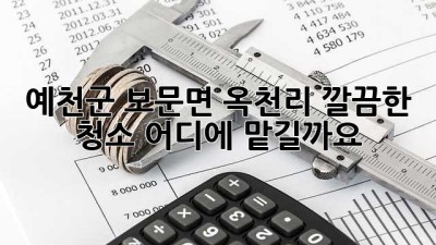 예천군 보문면 옥천리 깔끔한 청소, 어디에 맡길까요?