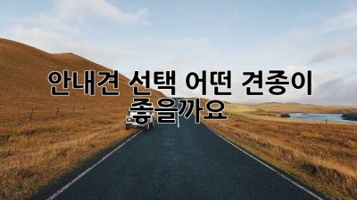 안내견 선택, 어떤 견종이 좋을까요?