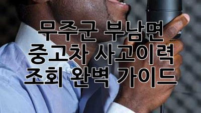 무주군 부남면 중고차 사고이력 조회 완벽 가이드